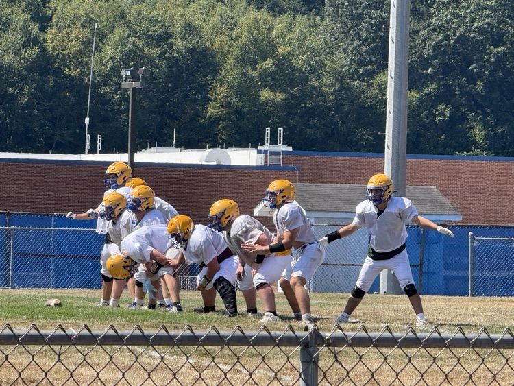 Vikes
