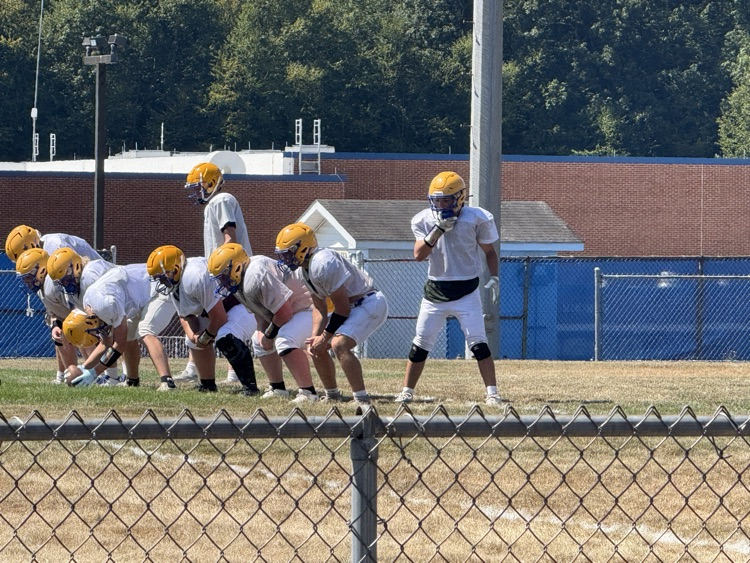 Vikes