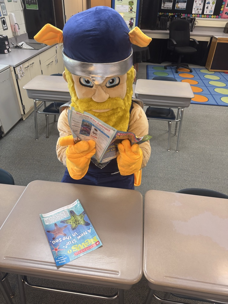 reading 