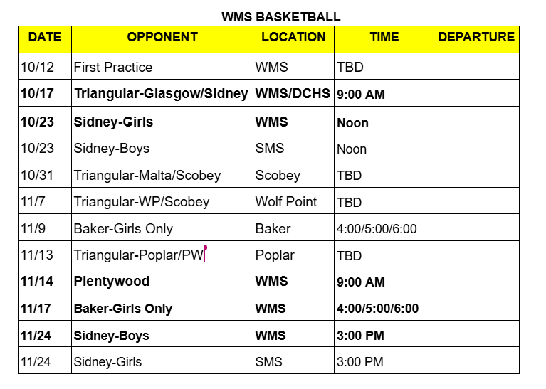 WMS Basketball