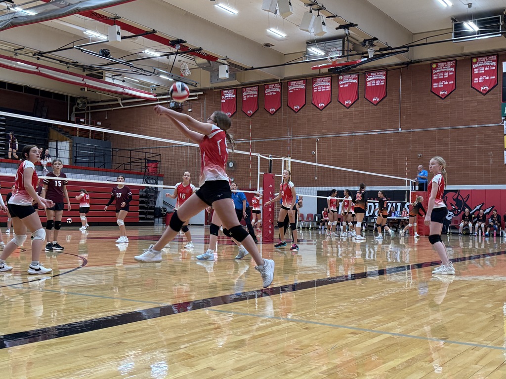 vball