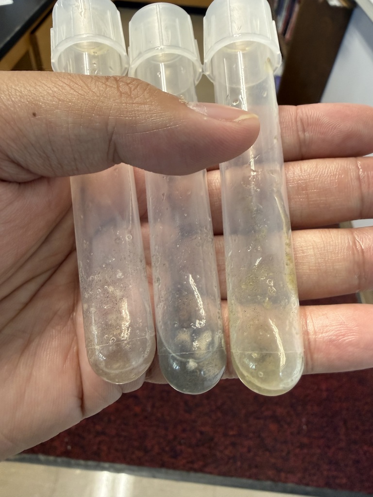 Advanced Biology #5
