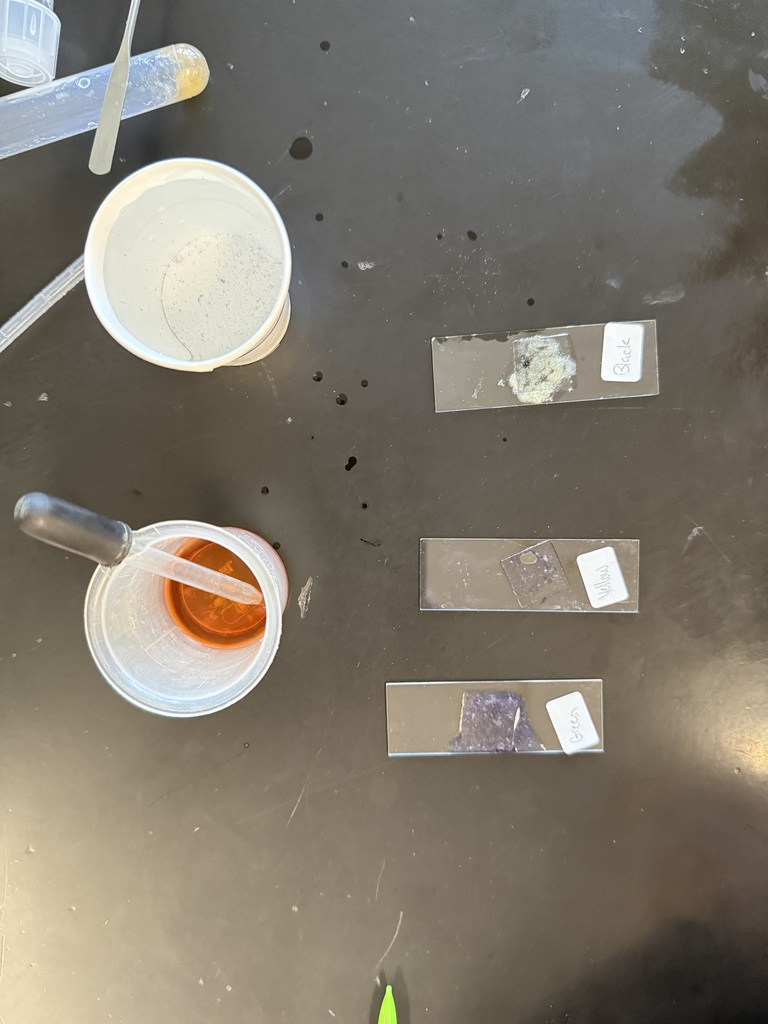 Advanced Biology #2