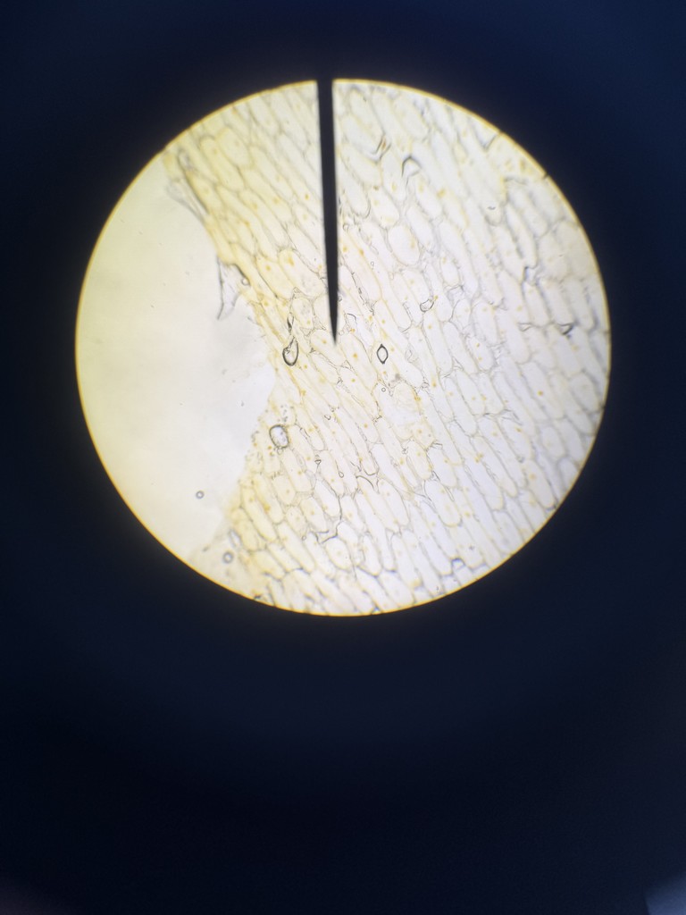Biology #5