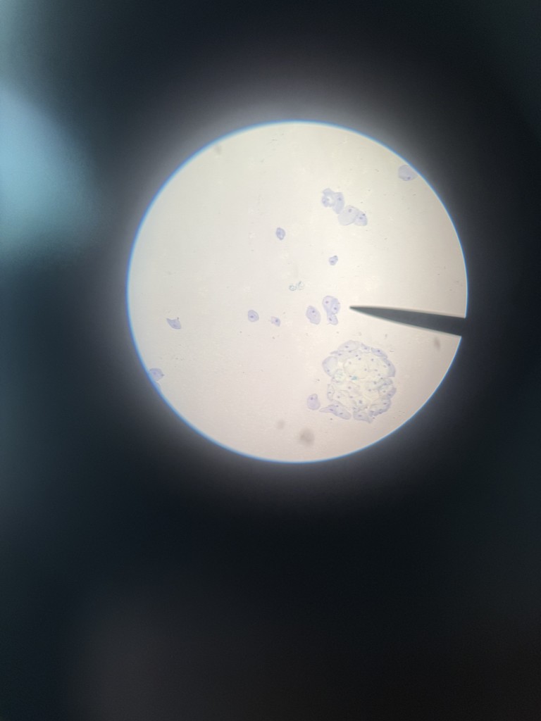Biology #4