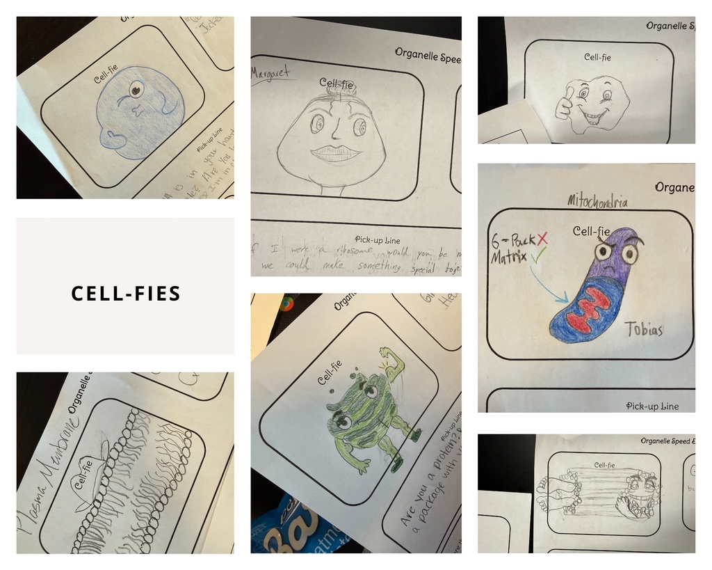 Advanced Biology #5