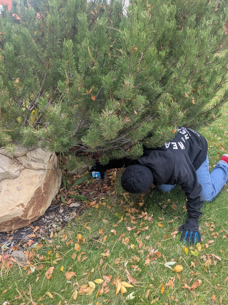 DCHS Key Club Trash Clean-Up #2