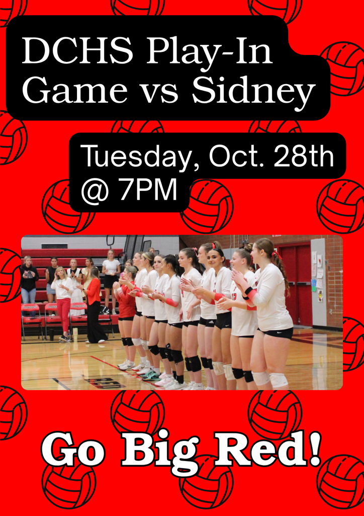 2025 Volleyball Play-In Game