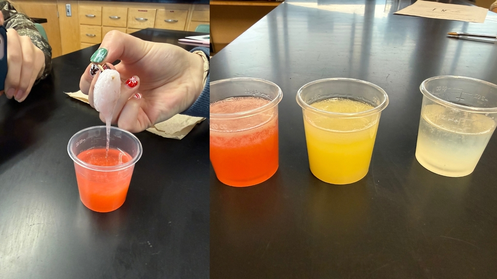DNA Extraction #1