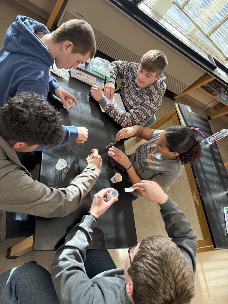 Battle of the Beaks #1