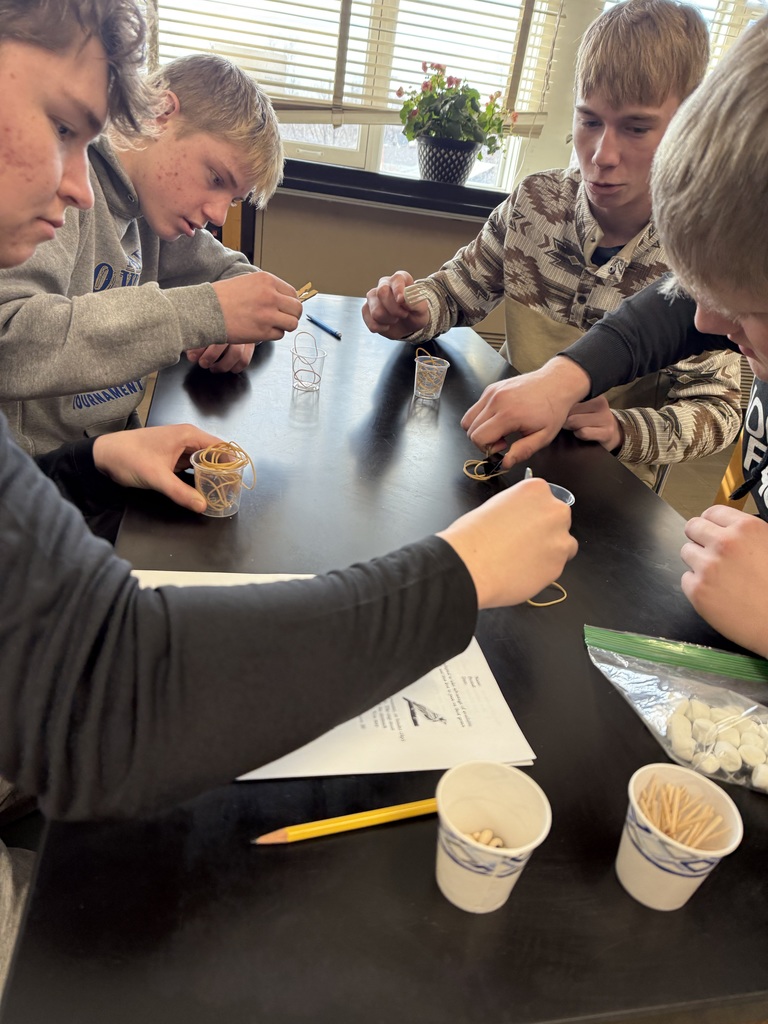 Battle of the Beaks #3