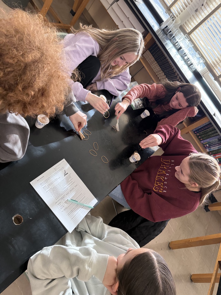 Battle of the Beaks #2