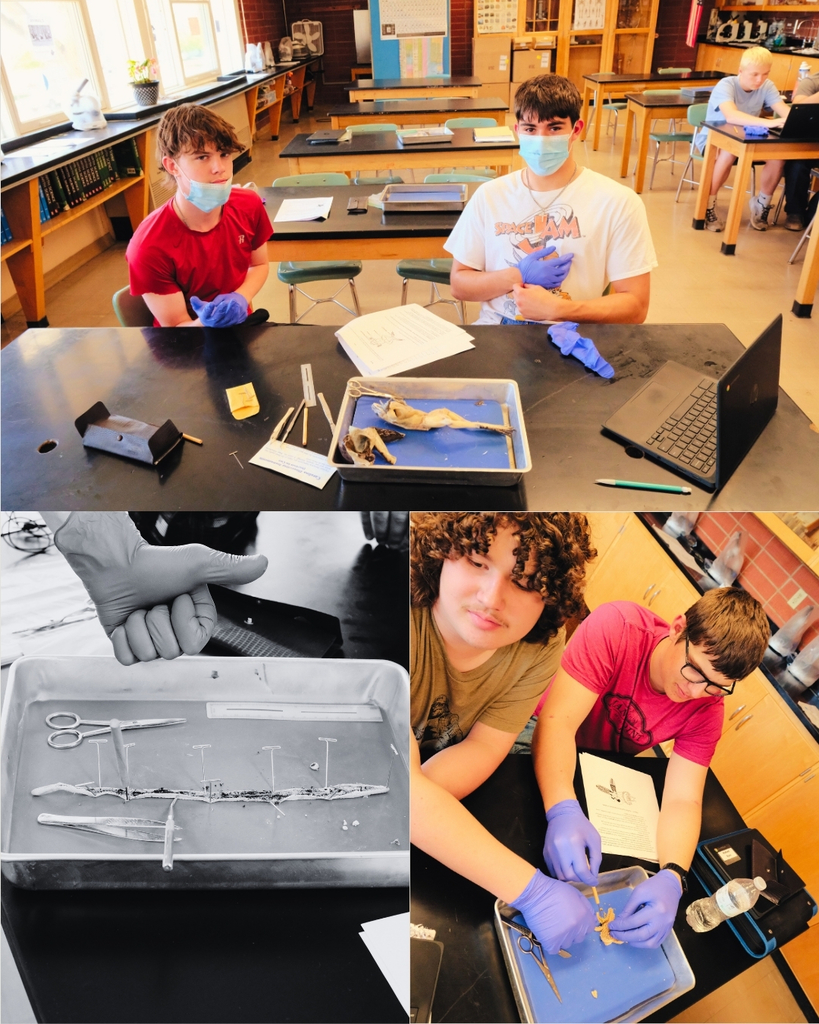 Biology Dissection #5