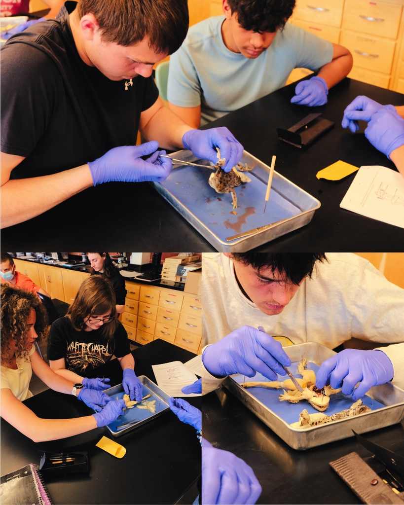 Biology Dissection #4