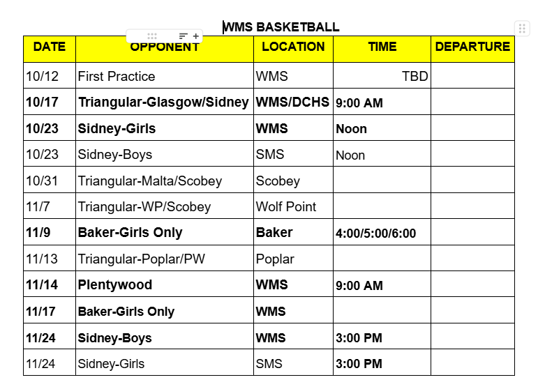 WMS Basketball