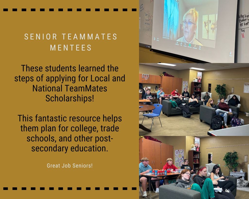 Senior Teammates Mentees