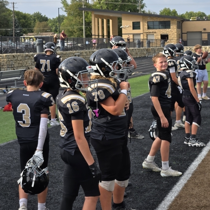 rams