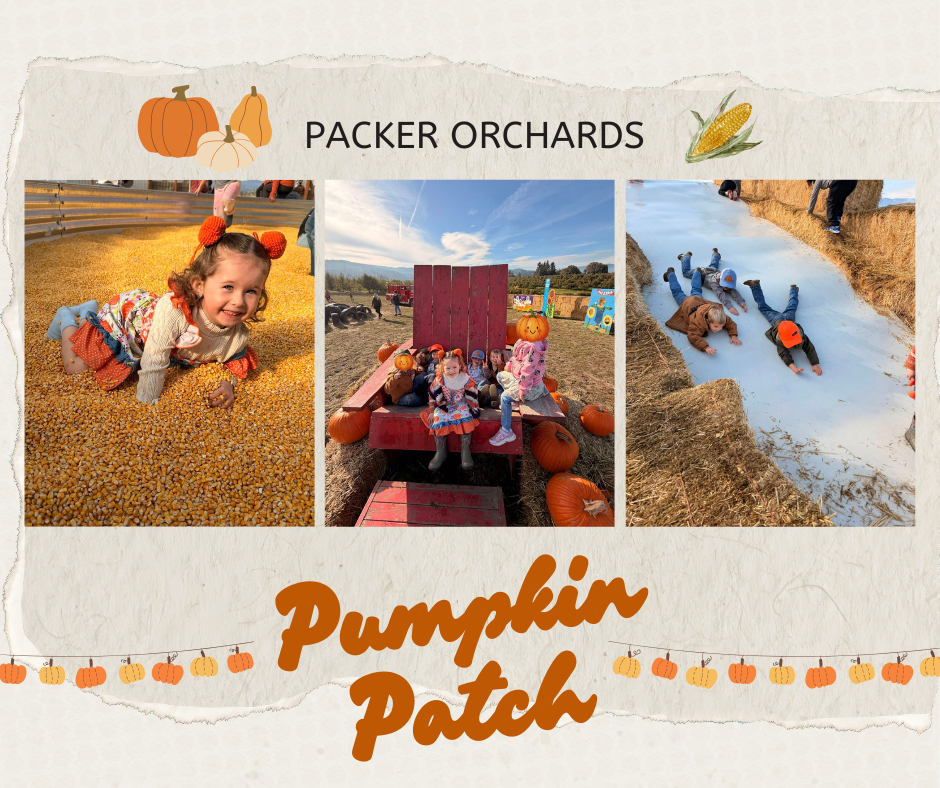 pumpkin patch
