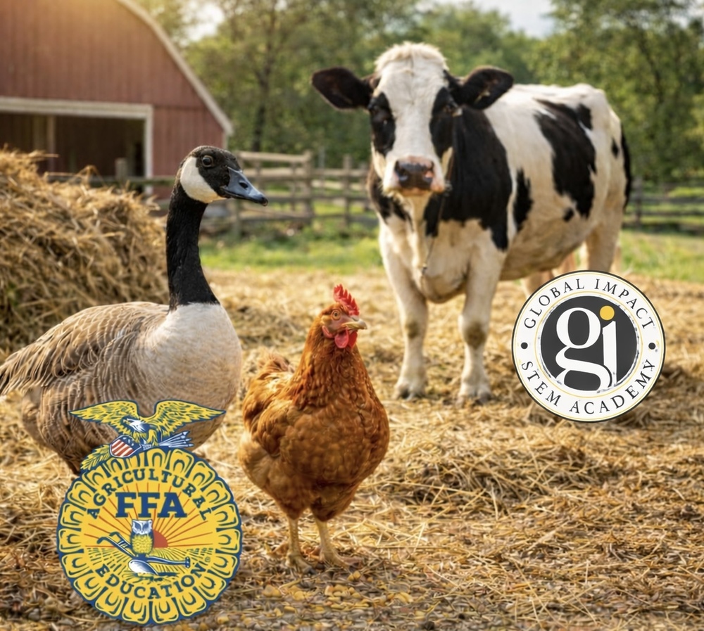 ffa animals