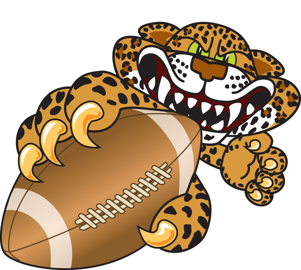 Football Cheetah