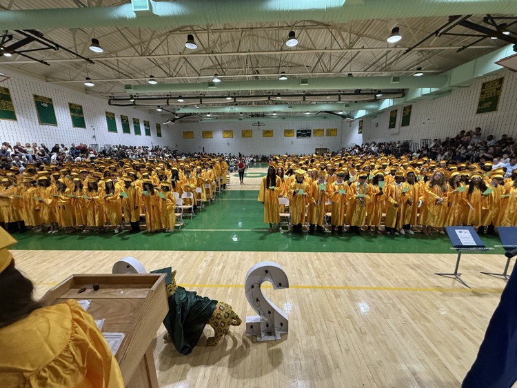 Graduates