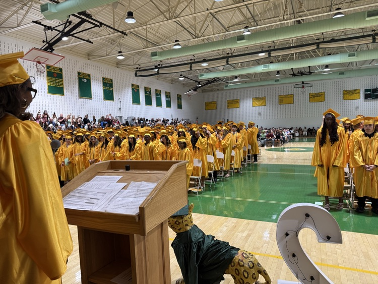 Graduates