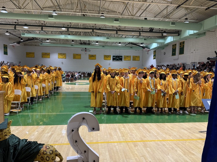 Graduates 