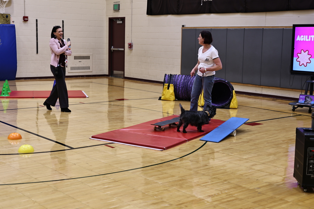 communications@gesdk12.org