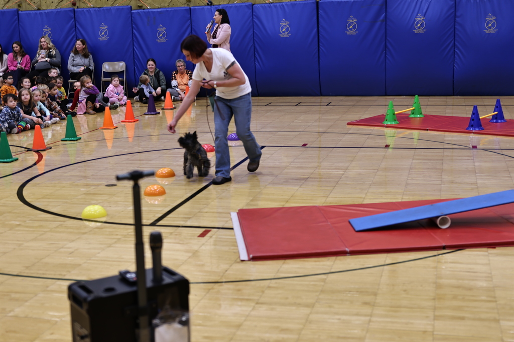 communications@gesdk12.org