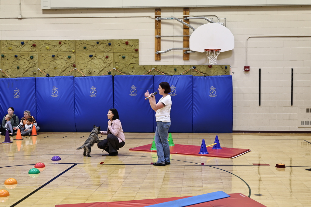 communications@gesdk12.org