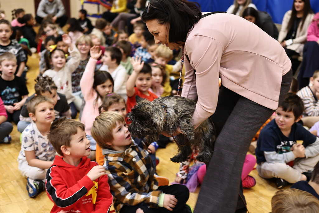 communications@gesdk12.org