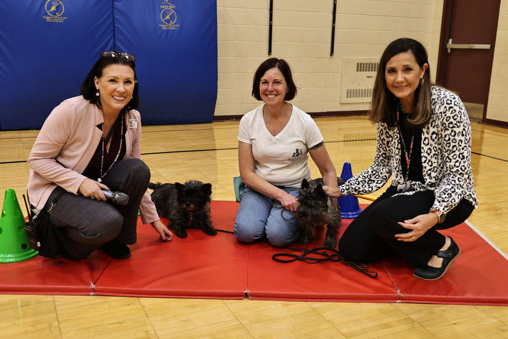 communications@gesdk12.org