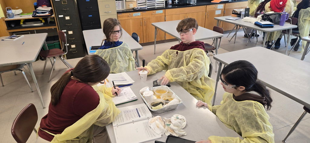 communications@gesdk12.org