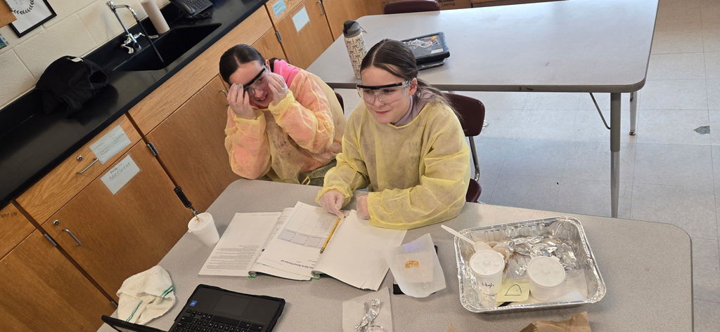 communications@gesdk12.org