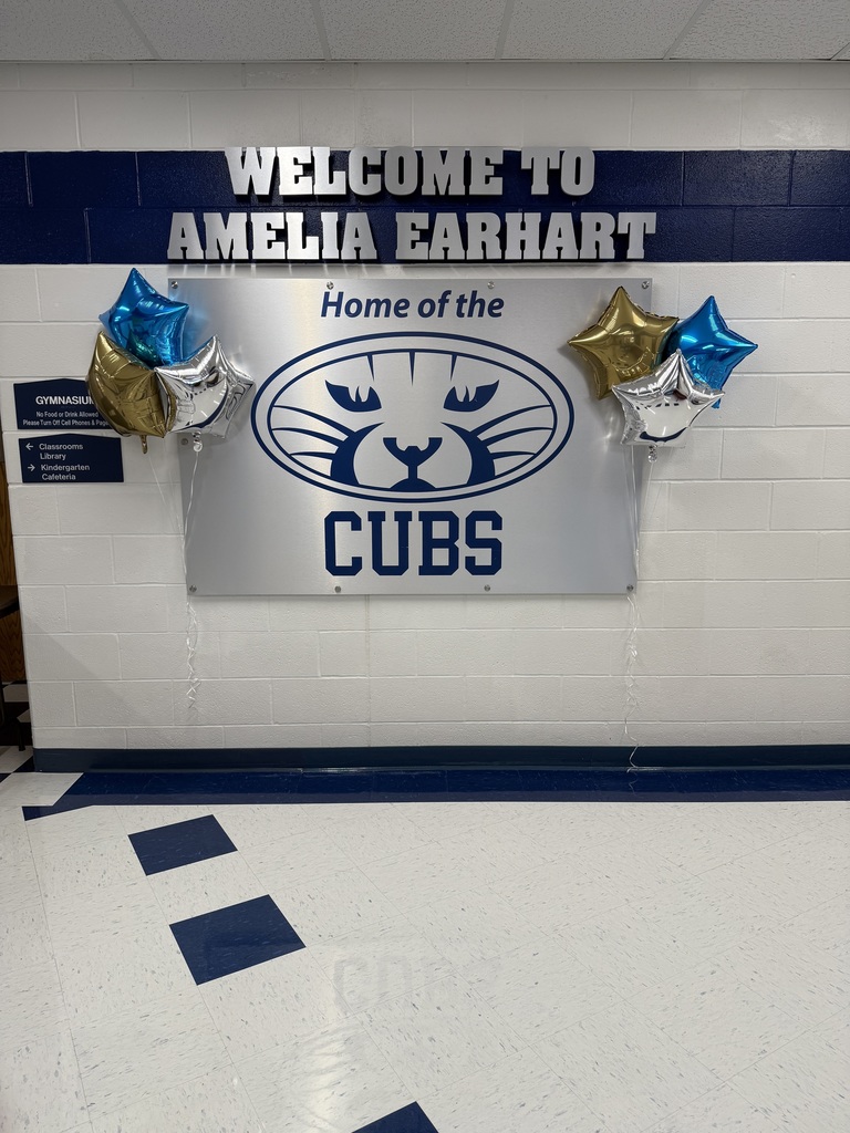 Welcome to amelia earhart with balloons