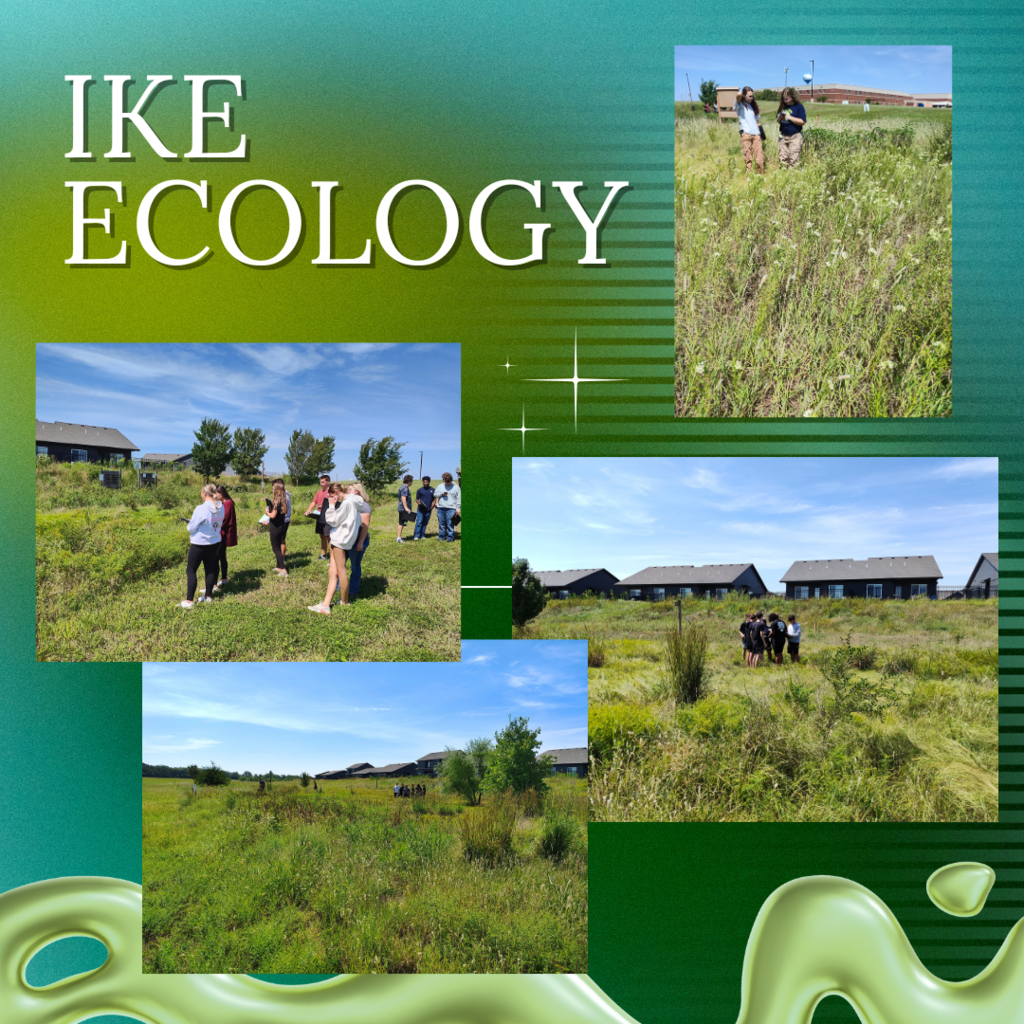 IKE Ecology students spend time journaling in the outdoors.