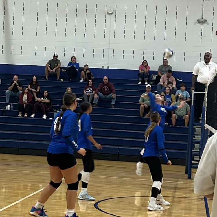 VB
