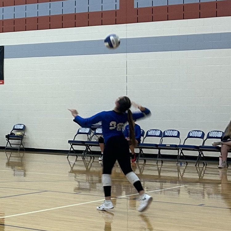VB