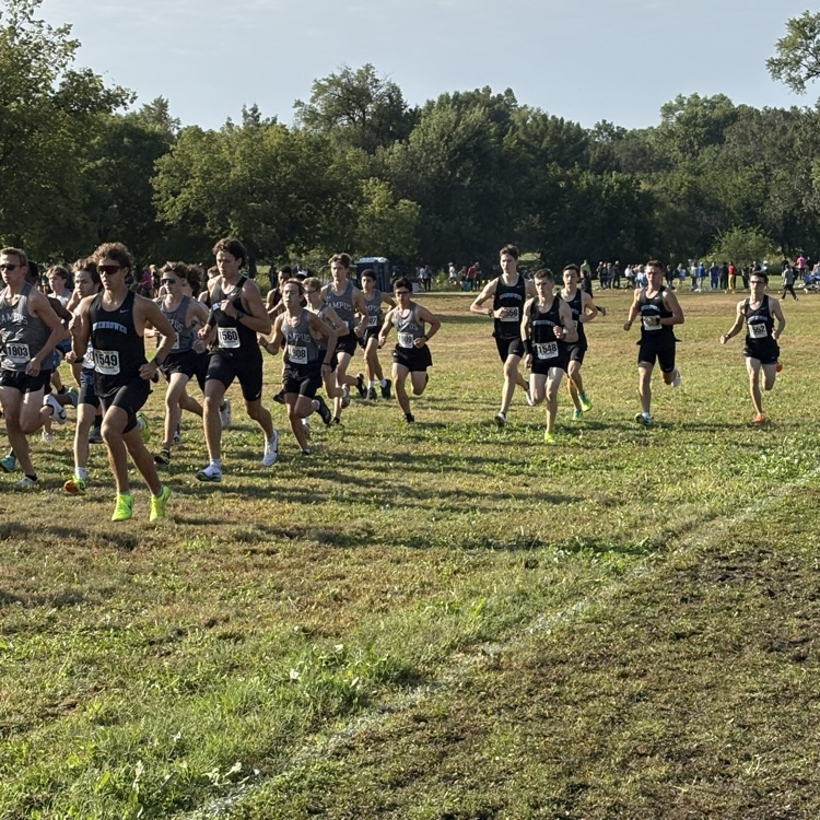 Run Tigers Run!