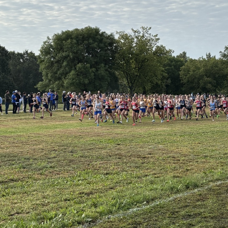 Run Tigers Run!