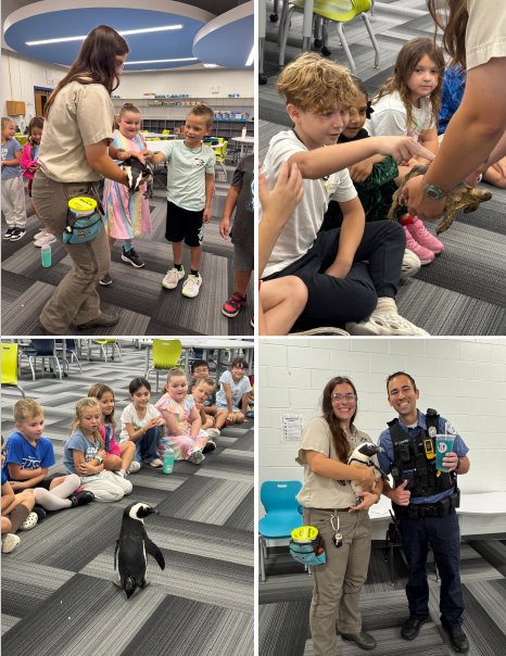 Did you know that tortoise spurs help them dig?  That's just one of the many fun facts Mrs. Pezzola's class learned during a special visit from Tanganyika Wildlife Park, their prize for winning first place in our Penny Wars: Mario Edition!