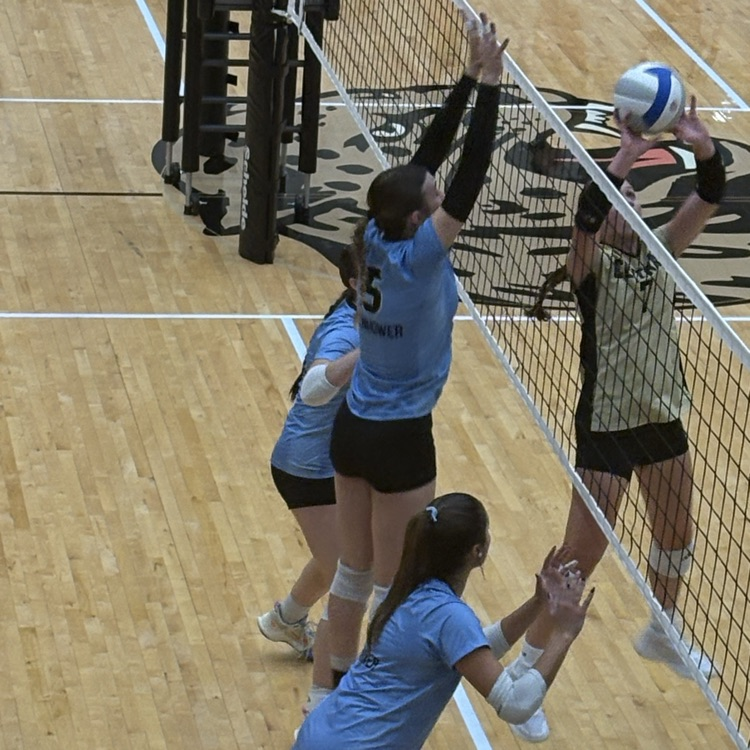 Tiger Volleyball taking on Andover Central