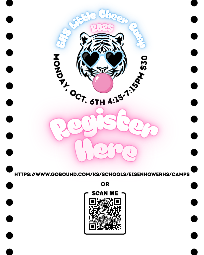 little tigers cheer camp 2