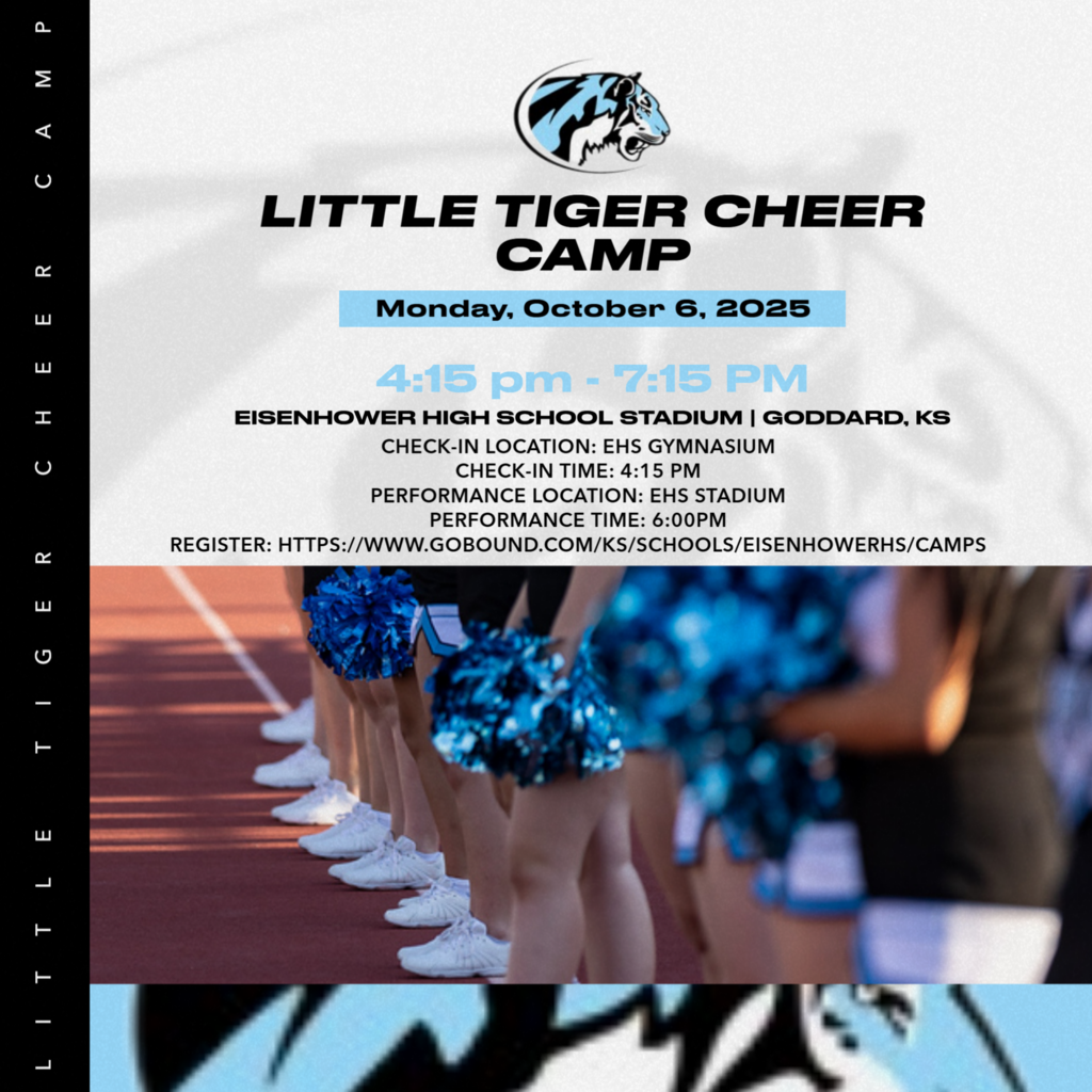 little tigers cheer camp