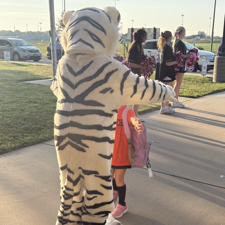 Tigers welcome Cubs at Explorer