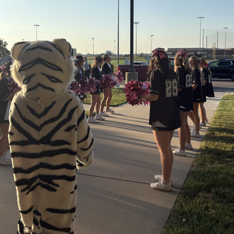Tigers welcome Cubs at Explorer