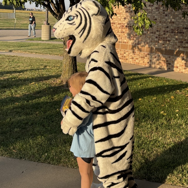 Tigers welcome Cubs at Explorer