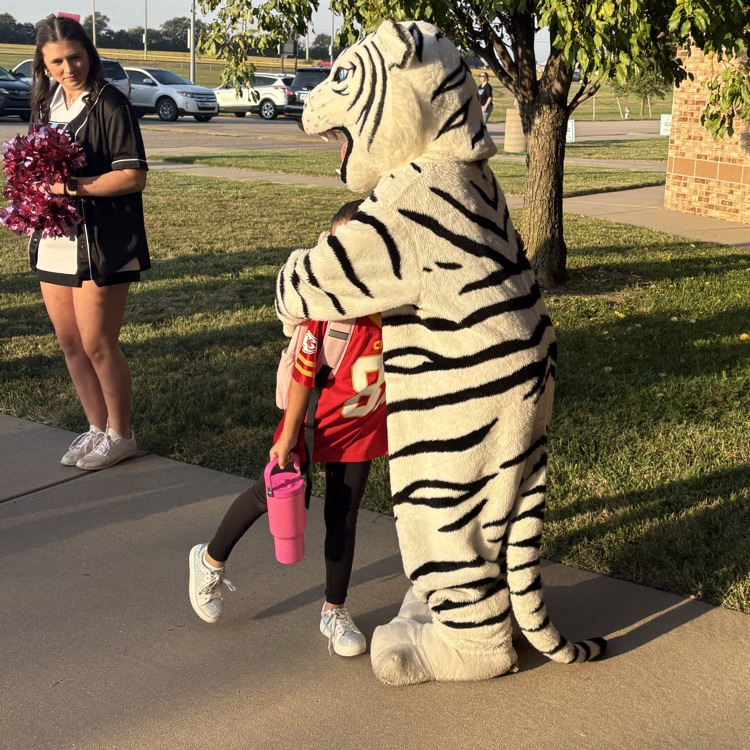 Tigers welcome Cubs at Explorer