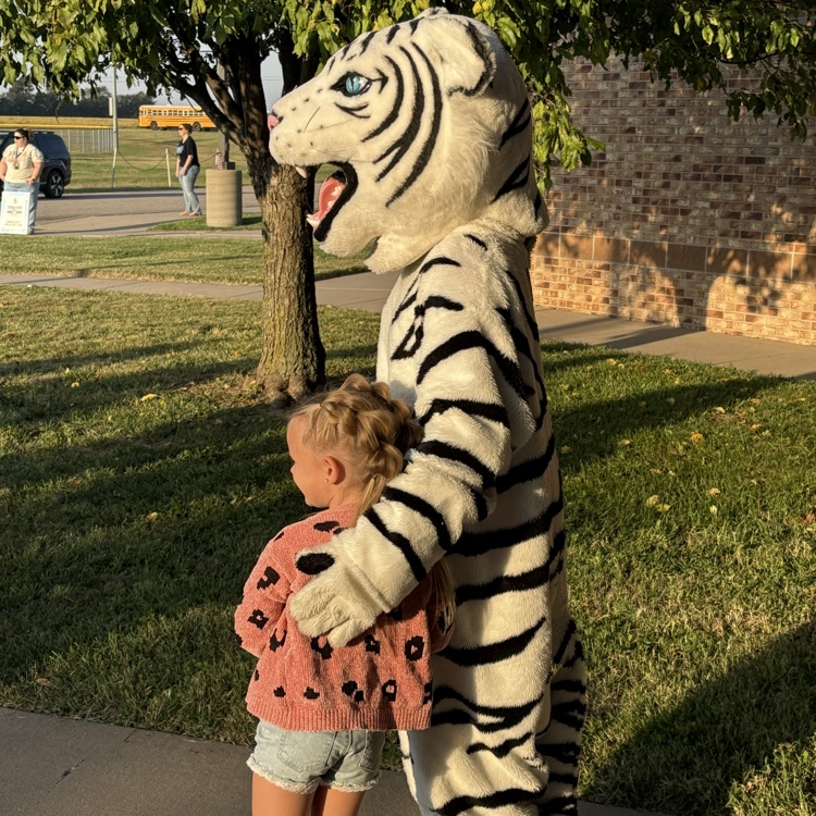 Tigers welcome Cubs at Explorer