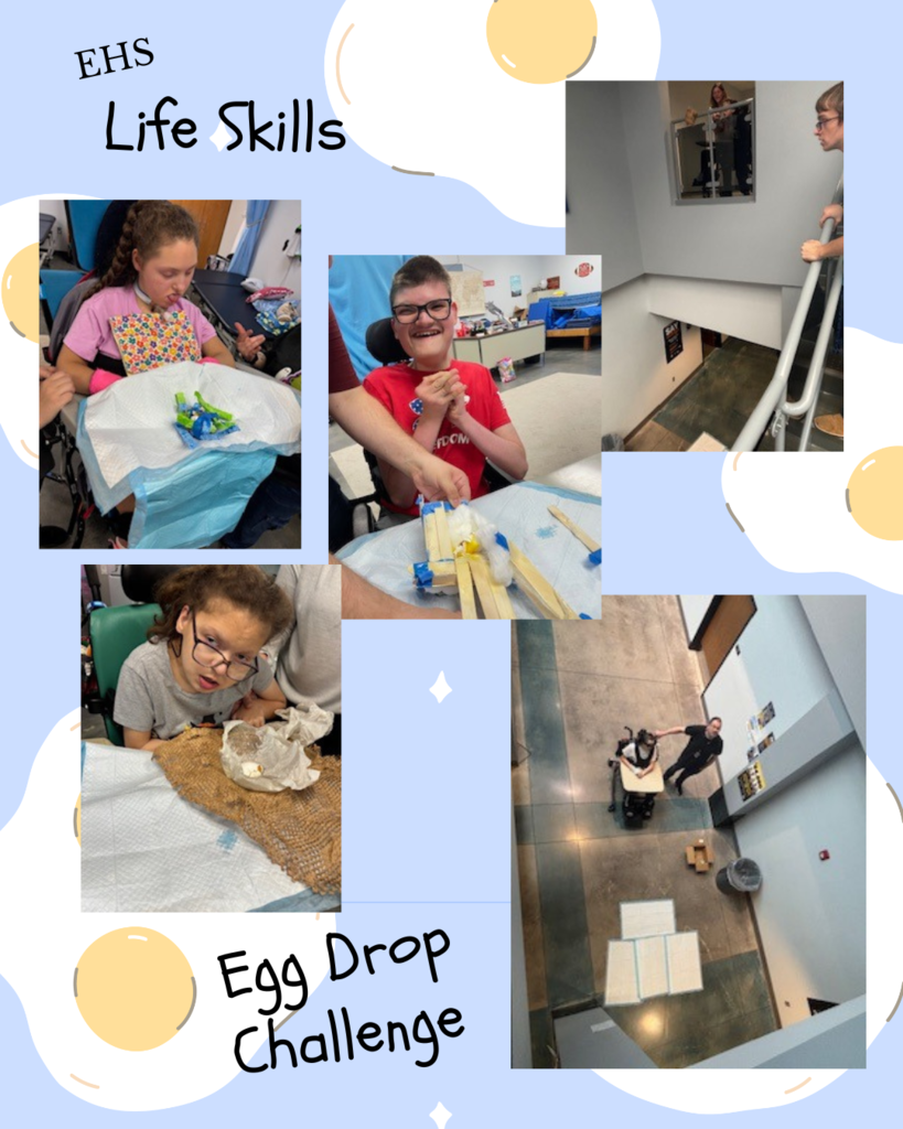 Life Skills Egg Drop
